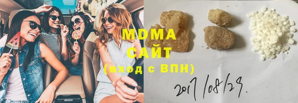 гашик Алексин