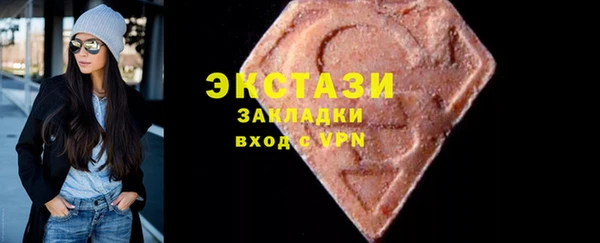 гашик Алексин