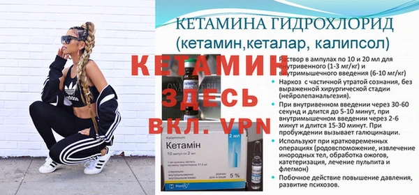 гашик Алексин