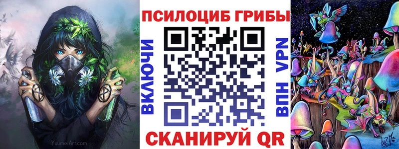 Галлюциногенные грибы Psilocybine cubensis  где найти   blacksprut онион  Александров 